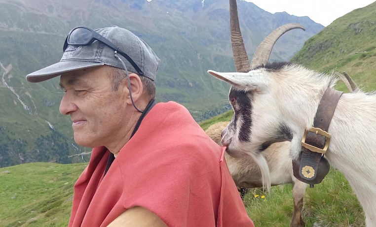 chevre